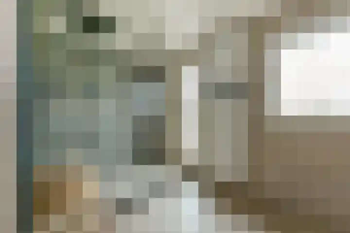 Kooilandsedijk 19 Strijen thumbnail 19