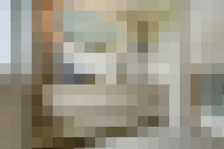 Kooilandsedijk 19 Strijen thumbnail 20