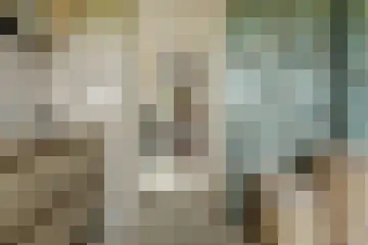 Kooilandsedijk 19 Strijen thumbnail 21