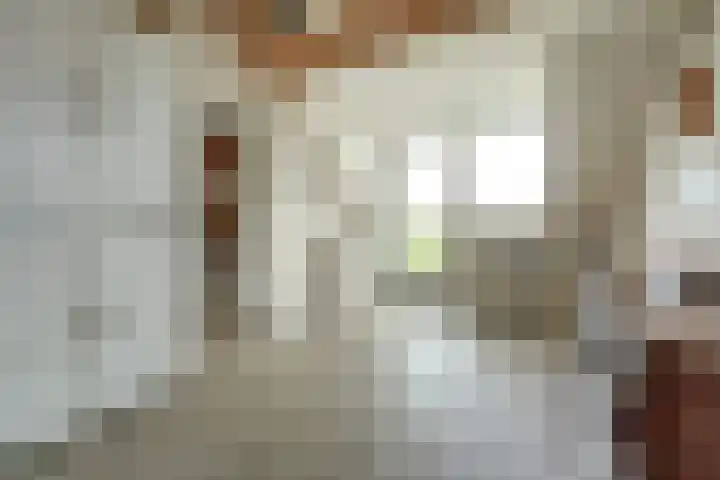 Kooilandsedijk 19 Strijen thumbnail 22