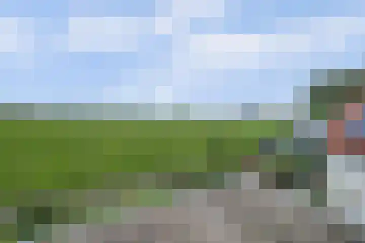 Kooilandsedijk 19 Strijen thumbnail 25