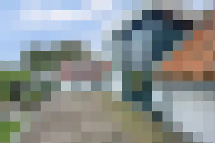Kooilandsedijk 19 Strijen thumbnail 26