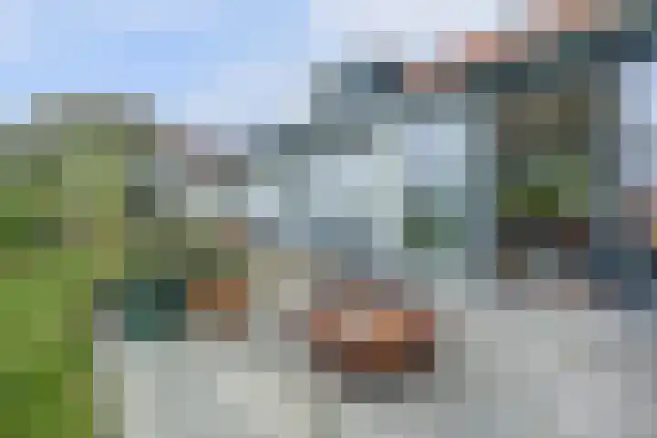 Kooilandsedijk 19 Strijen thumbnail 28