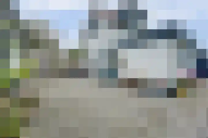 Kooilandsedijk 19 Strijen thumbnail 29