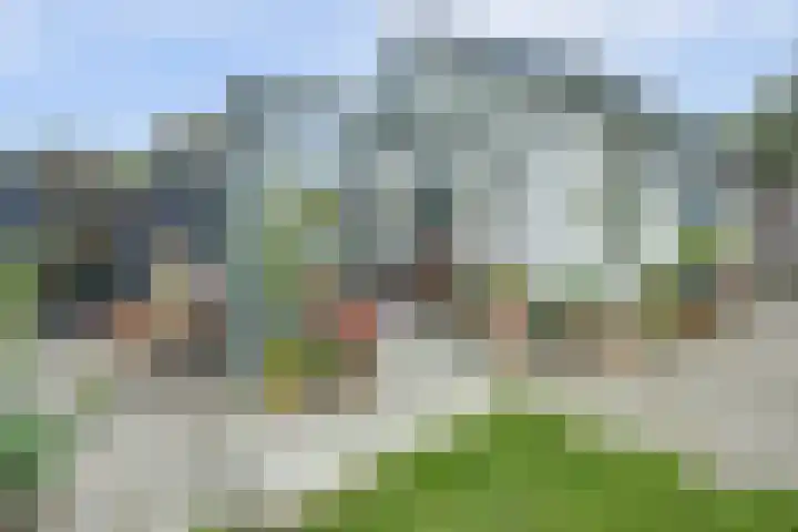 Kooilandsedijk 19 Strijen thumbnail 30