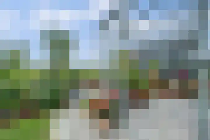 Kooilandsedijk 19 Strijen thumbnail 31