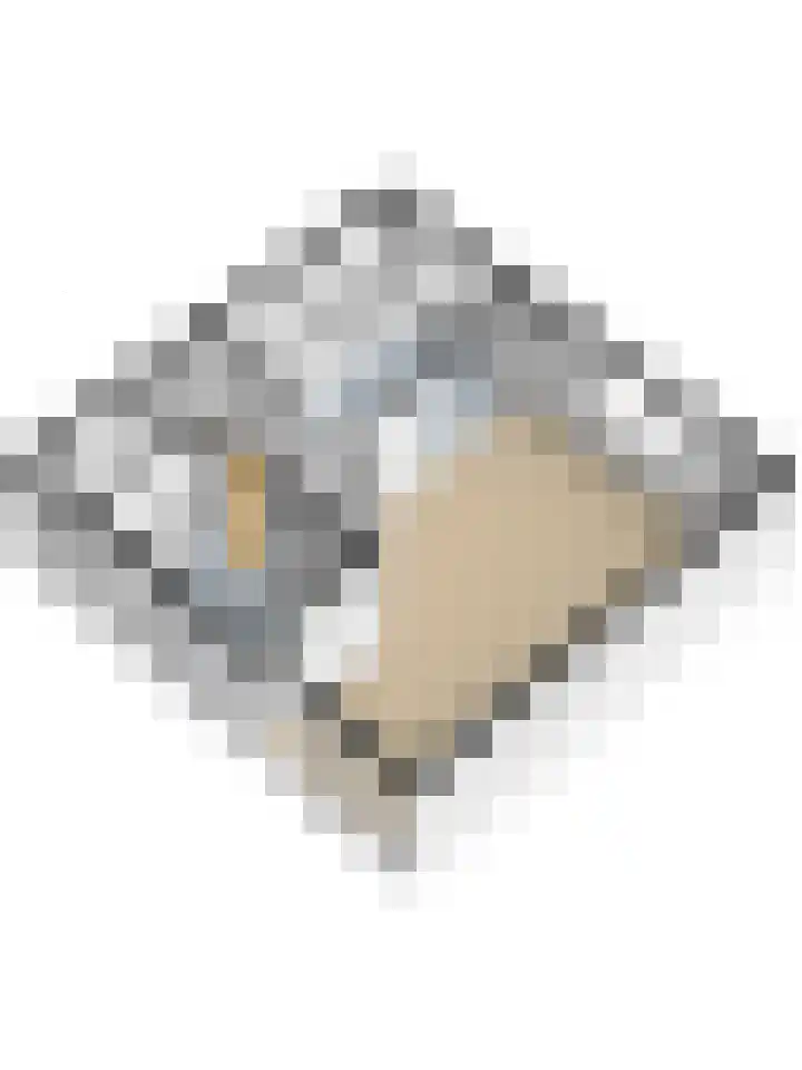 Kooilandsedijk 19 Strijen thumbnail 36