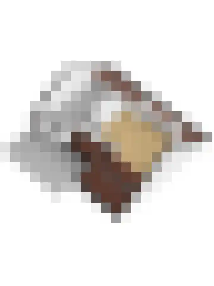 Kooilandsedijk 19 Strijen thumbnail 37