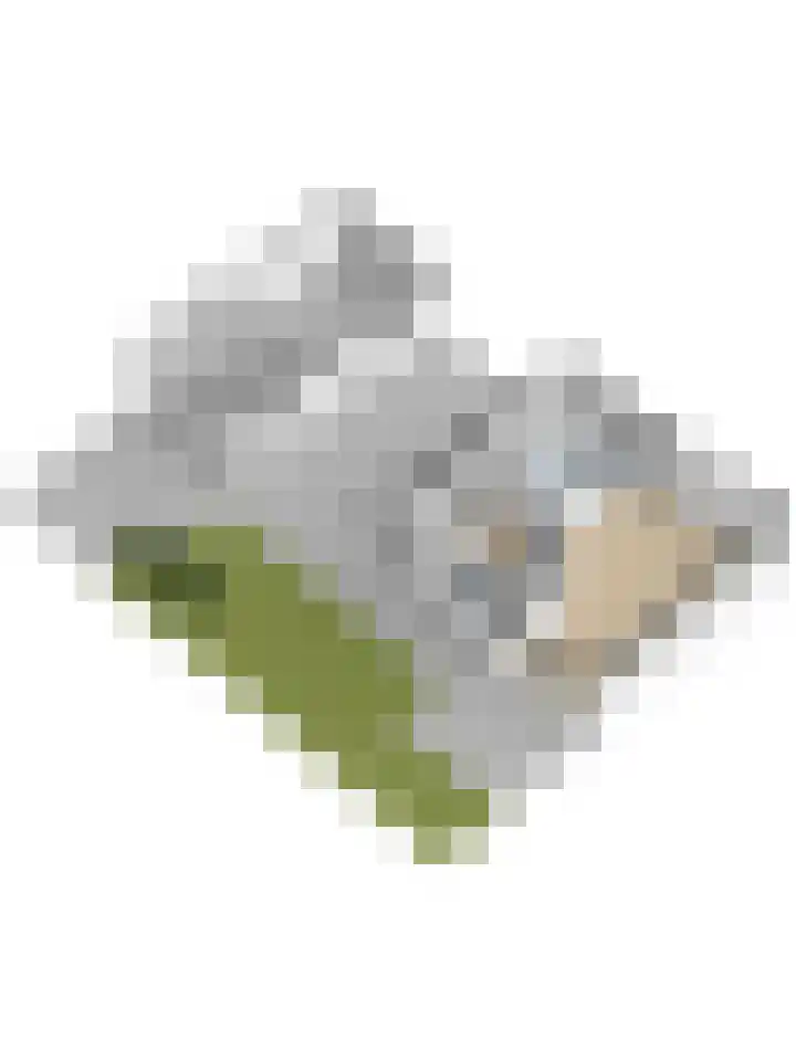 Kooilandsedijk 19 Strijen thumbnail 38