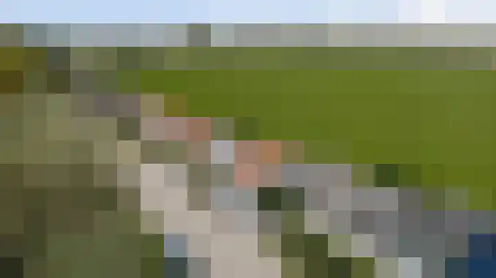 Kooilandsedijk 19 Strijen thumbnail 4