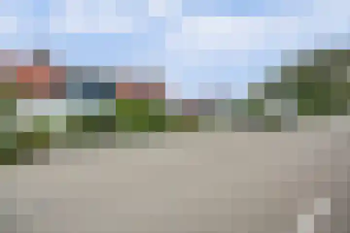 Kooilandsedijk 19 Strijen thumbnail 6