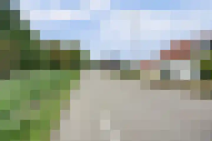 Kooilandsedijk 19 Strijen thumbnail 7