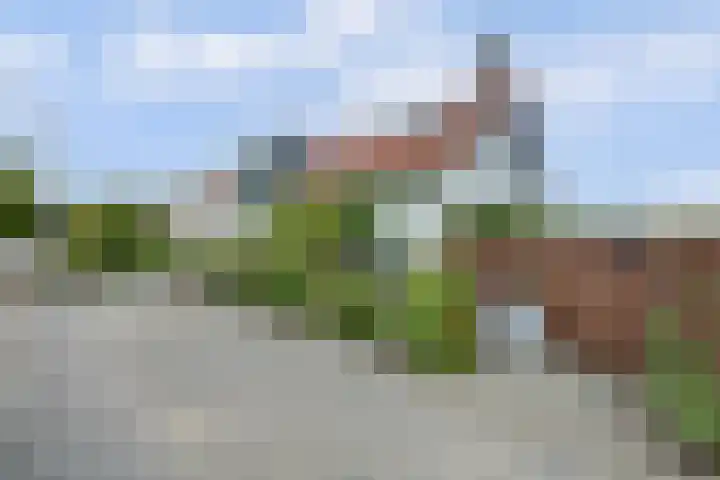 Kooilandsedijk 19 Strijen thumbnail 8