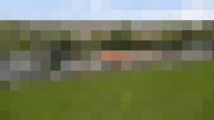 Kooilandsedijk 19 Strijen thumbnail 9