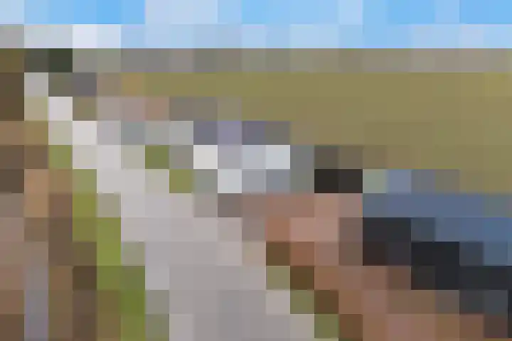 Kooilandsedijk 23 Strijen thumbnail 10