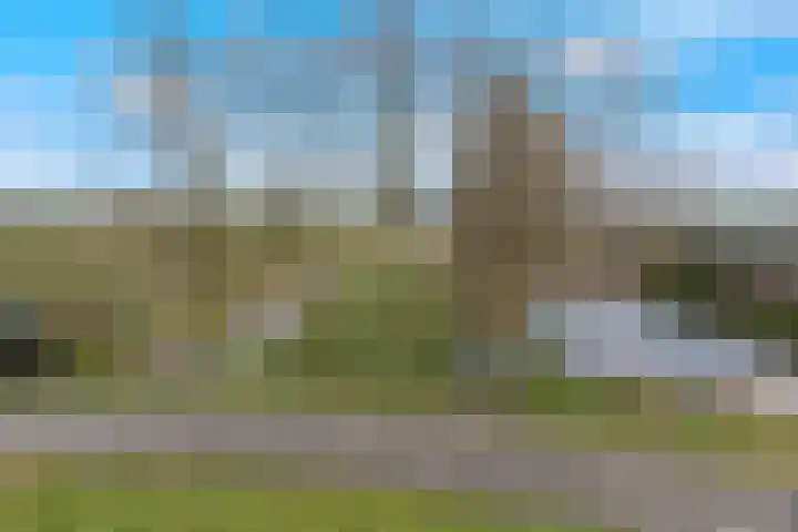 Kooilandsedijk 23 Strijen thumbnail 11