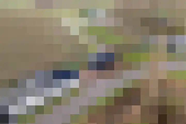 Kooilandsedijk 23 Strijen thumbnail 12