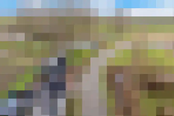 Kooilandsedijk 23 Strijen thumbnail 13