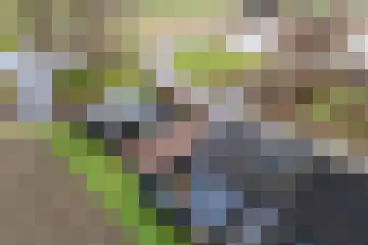 Kooilandsedijk 23 Strijen thumbnail 14
