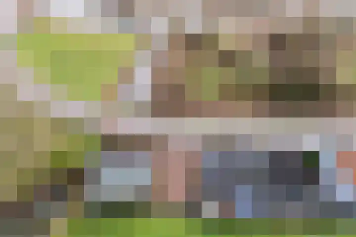 Kooilandsedijk 23 Strijen thumbnail 15
