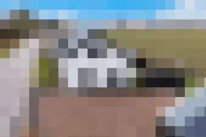 Kooilandsedijk 23 Strijen thumbnail 16