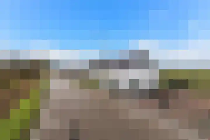 Kooilandsedijk 23 Strijen thumbnail 19