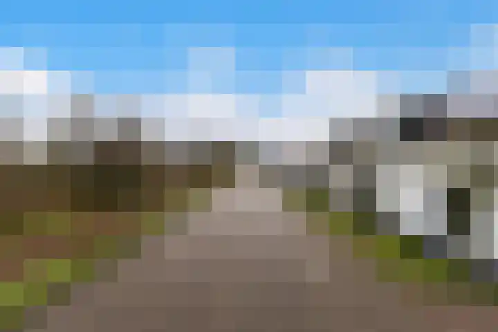 Kooilandsedijk 23 Strijen thumbnail 21