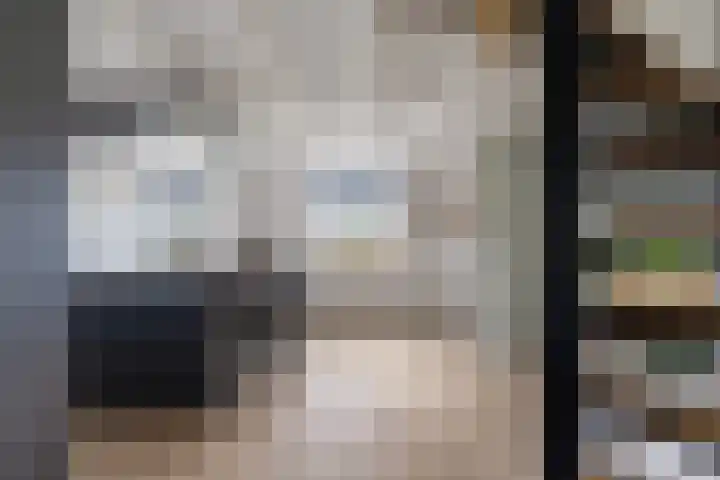 Kooilandsedijk 23 Strijen thumbnail 30