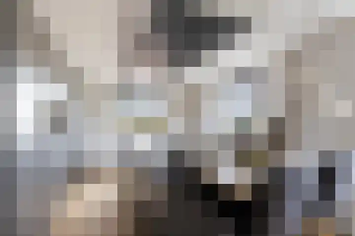 Kooilandsedijk 23 Strijen thumbnail 31