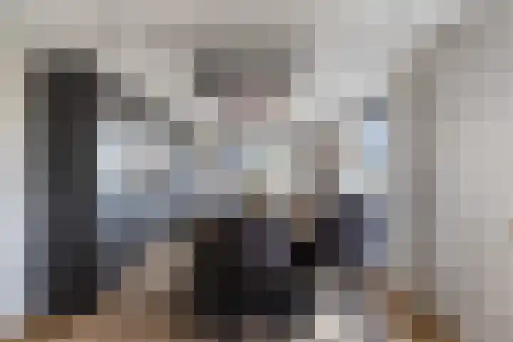 Kooilandsedijk 23 Strijen thumbnail 32