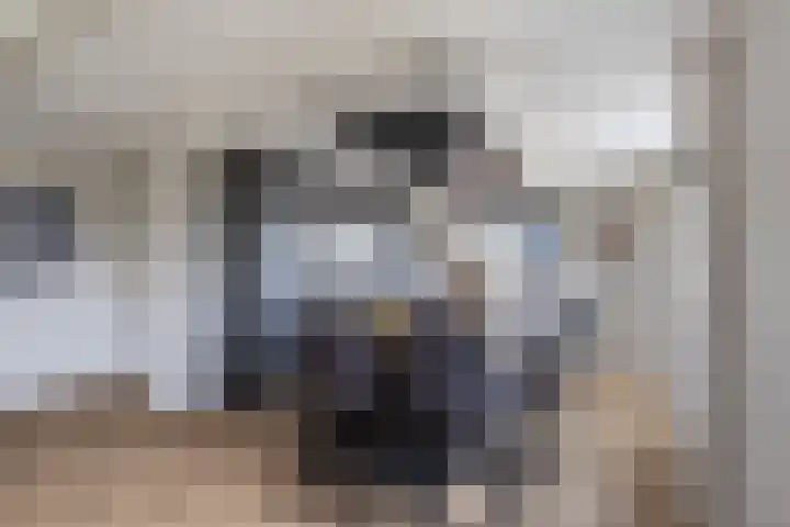 Kooilandsedijk 23 Strijen thumbnail 33
