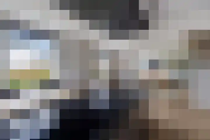 Kooilandsedijk 23 Strijen thumbnail 35
