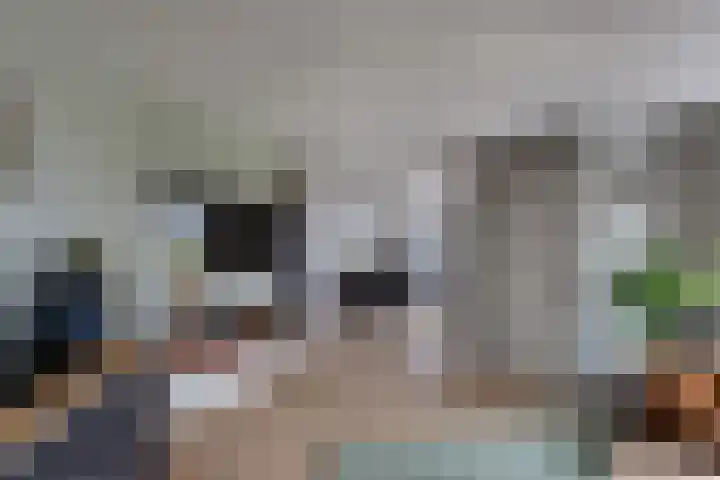 Kooilandsedijk 23 Strijen thumbnail 38
