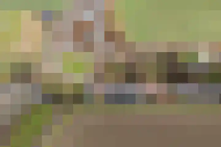 Kooilandsedijk 23 Strijen thumbnail 4
