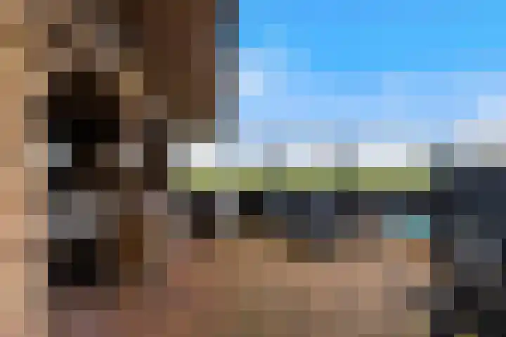 Kooilandsedijk 23 Strijen thumbnail 42