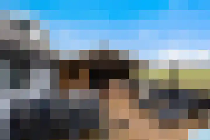 Kooilandsedijk 23 Strijen thumbnail 44