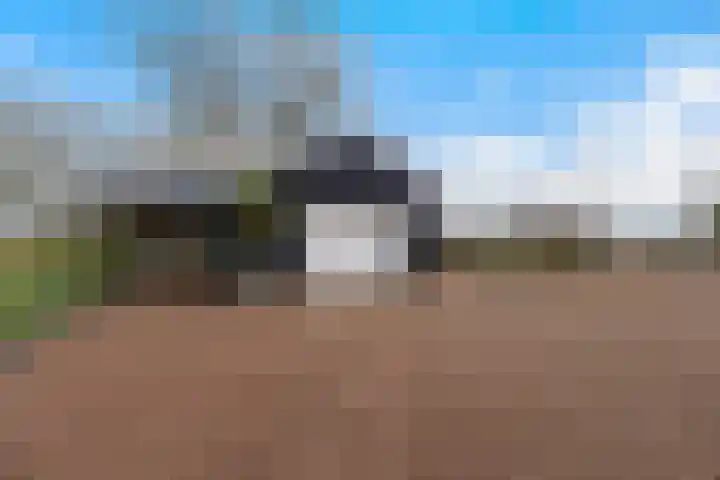 Kooilandsedijk 23 Strijen thumbnail 47