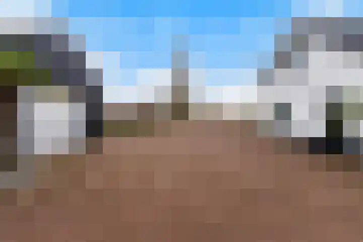 Kooilandsedijk 23 Strijen thumbnail 48