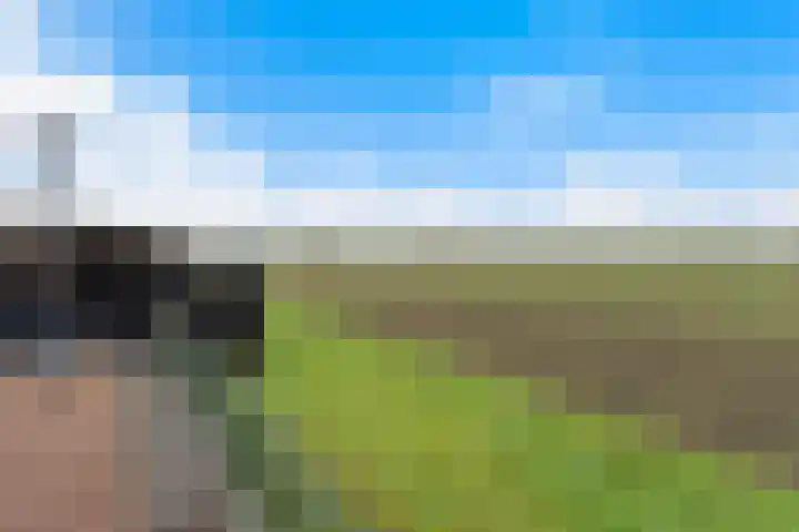Kooilandsedijk 23 Strijen thumbnail 49