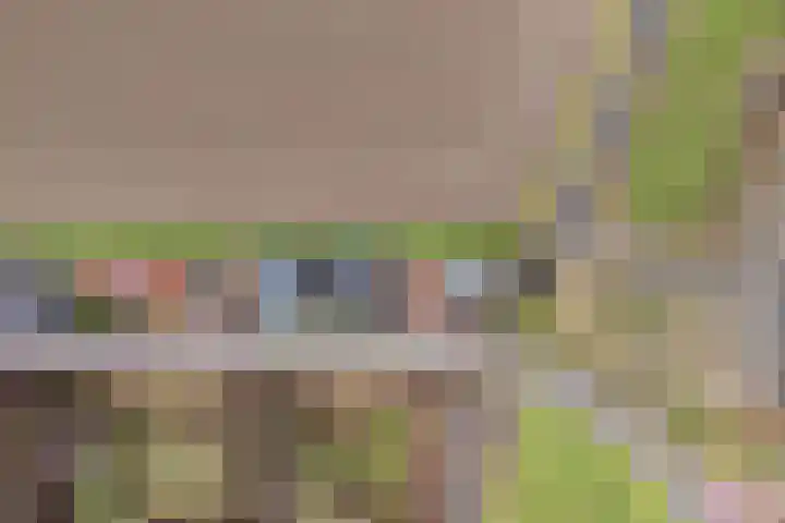 Kooilandsedijk 23 Strijen thumbnail 5