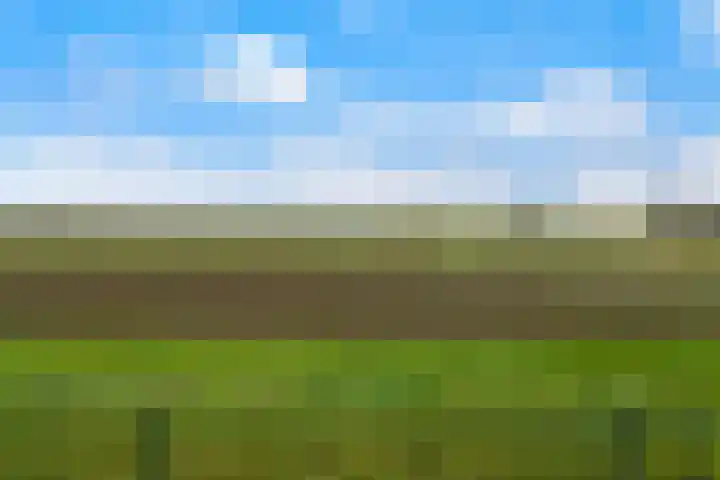Kooilandsedijk 23 Strijen thumbnail 50