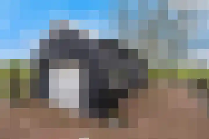 Kooilandsedijk 23 Strijen thumbnail 51