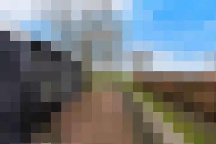 Kooilandsedijk 23 Strijen thumbnail 52