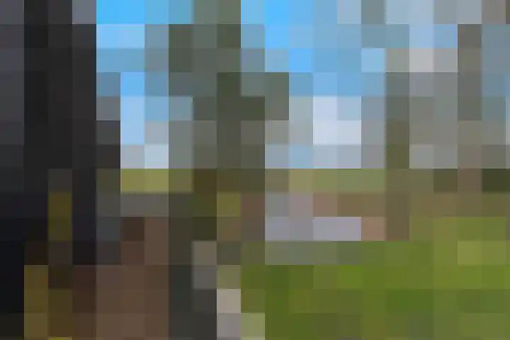 Kooilandsedijk 23 Strijen thumbnail 54