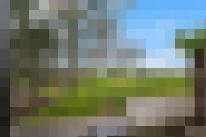 Kooilandsedijk 23 Strijen thumbnail 55