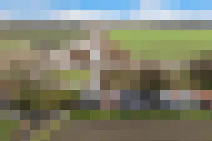 Kooilandsedijk 23 Strijen thumbnail 6