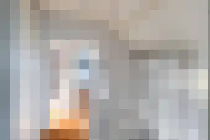 Kooilandsedijk 23 Strijen thumbnail 63