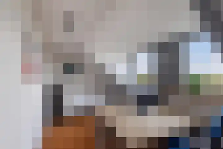 Kooilandsedijk 23 Strijen thumbnail 64