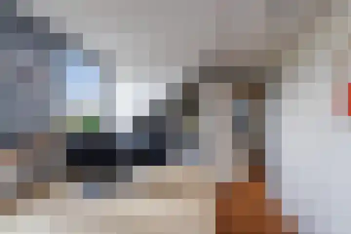 Kooilandsedijk 23 Strijen thumbnail 65