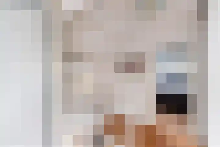 Kooilandsedijk 23 Strijen thumbnail 69